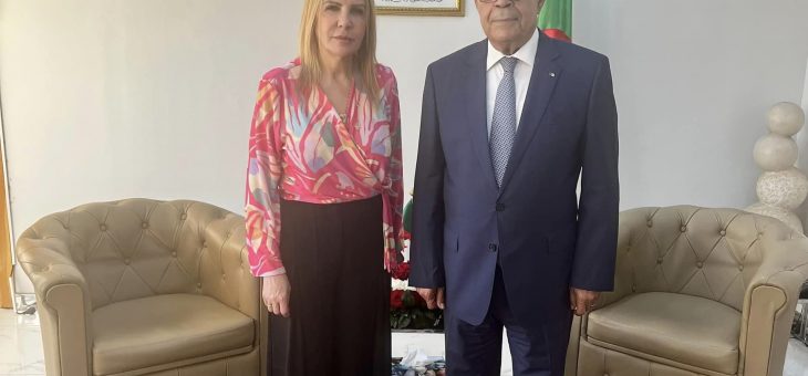 وزير الصناعة والإنتاج الصيدلاني يستقبل رئيسة الكونفدرالية العامة للمؤسسات الجزائرية