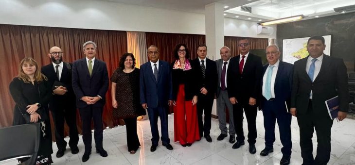 الجزائر-الأرجنتين: نحو تعزيز العلاقات الثنائية بين البلدين في مجال الانتاج الصيدلاني